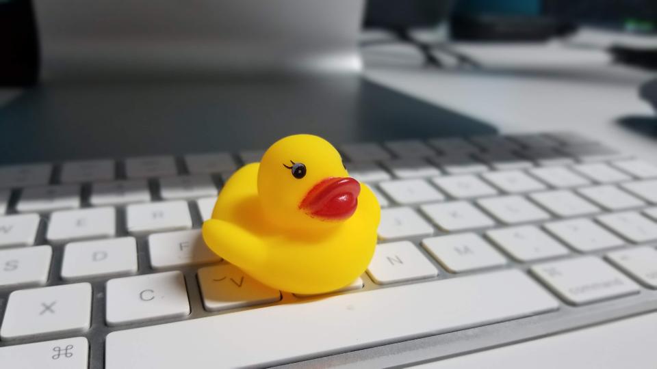 Pato de hule. Duck Debbuging